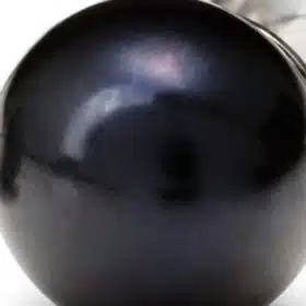 Perla Negra
